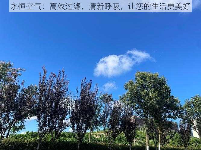 永恒空气:高效过滤,清新呼吸,让您的生活更美好
