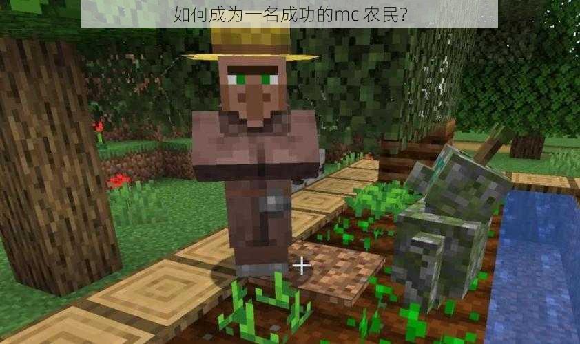 如何成为一名成功的mc 农民?