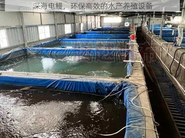 深海电鳗,环保高效的水产养殖设备