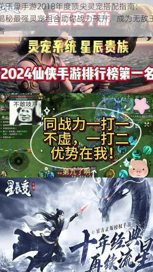 花千骨手游2018年度顶尖灵宠搭配指南:揭秘最强灵宠组合助你战力飙升,成为无敌王者