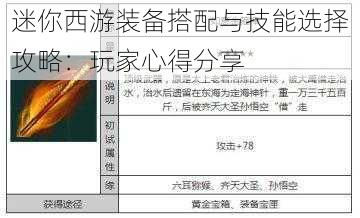 迷你西游装备搭配与技能选择攻略:玩家心得分享