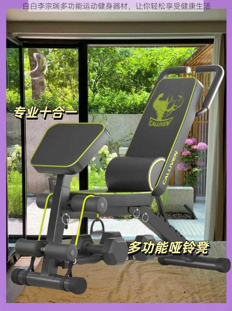 白白李宗瑞多功能运动健身器材,让你轻松享受健康生活