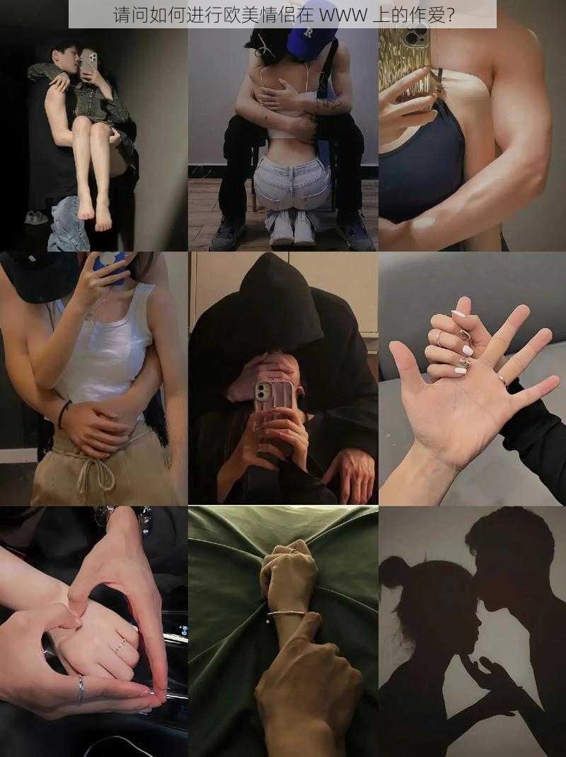 请问如何进行欧美情侣在 WWW 上的作爱?