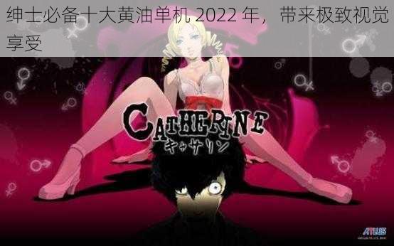 绅士必备十大黄油单机 2022 年,带来极致视觉享受